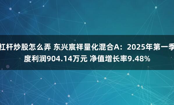 杠杆炒股怎么弄 东兴宸祥量化混合A：2025年第一季度利润904.14万元 净值增长率9.48%