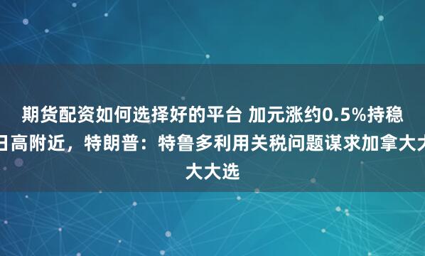 期货配资如何选择好的平台 加元涨约0.5%持稳于日高附近，特朗普：特鲁多利用关税问题谋求加拿大大选