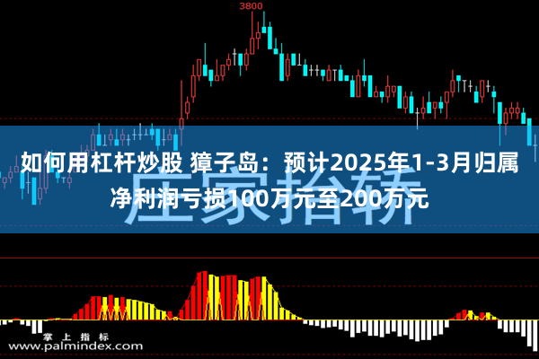 如何用杠杆炒股 獐子岛：预计2025年1-3月归属净利润亏损100万元至200万元