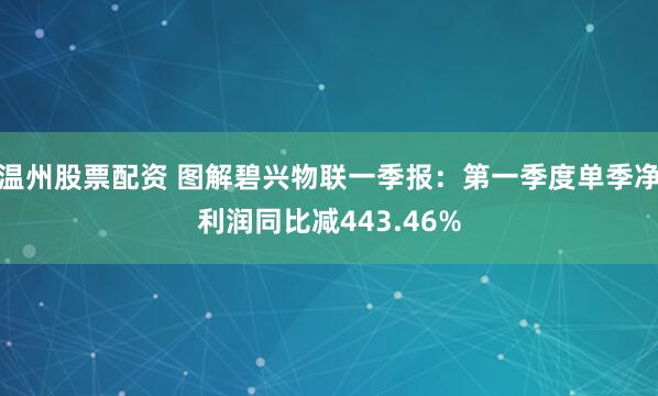 温州股票配资 图解碧兴物联一季报：第一季度单季净利润同比减443.46%