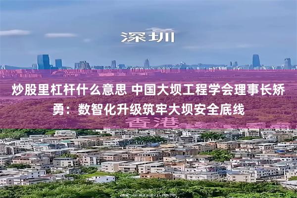 炒股里杠杆什么意思 中国大坝工程学会理事长矫勇：数智化升级筑牢大坝安全底线