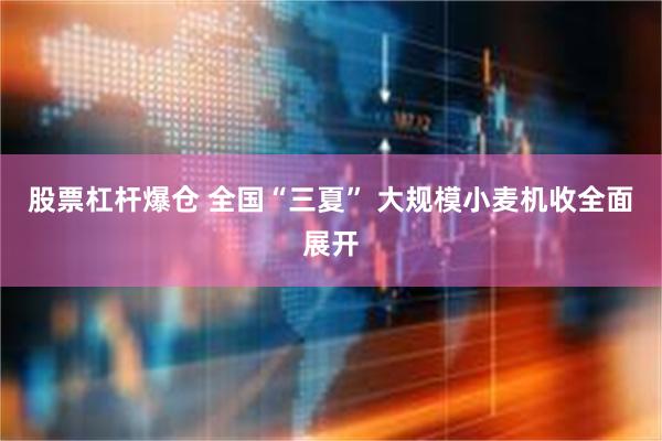 股票杠杆爆仓 全国“三夏” 大规模小麦机收全面展开