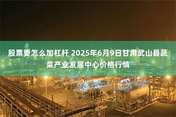 股票要怎么加杠杆 2025年6月9日甘肃武山县蔬菜产业发展中心价格行情